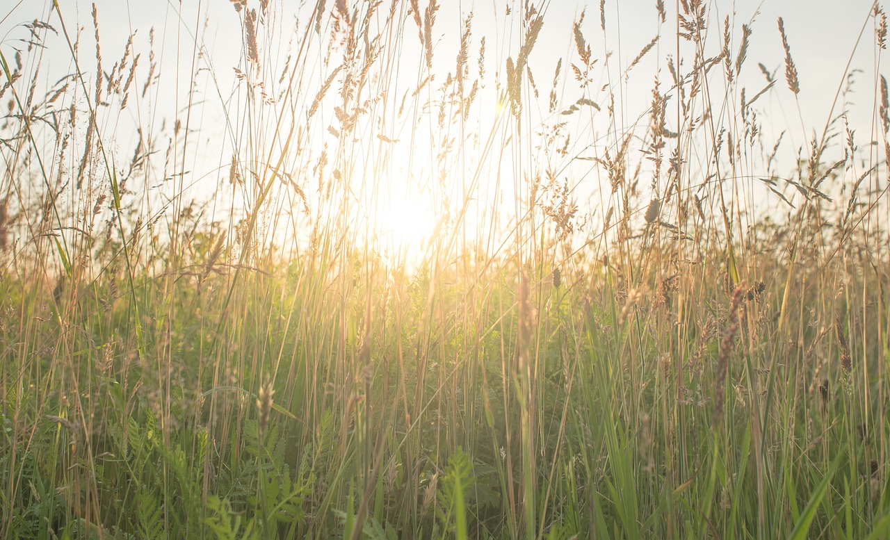 Building Emotional Resilience - A Guide for Better Mental Health